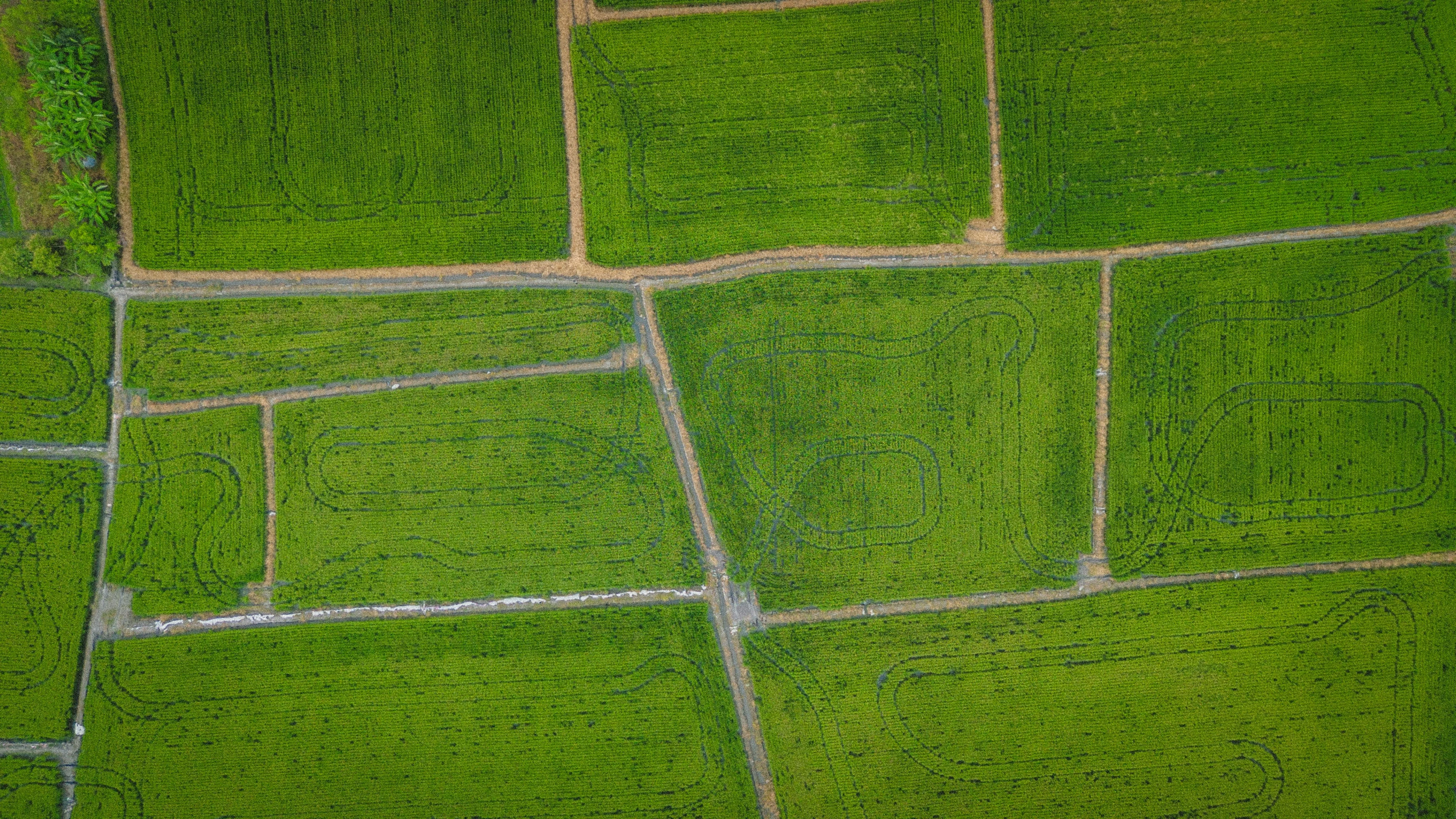 Land Purchase & Sale